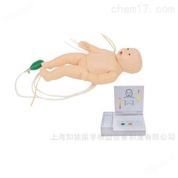 销售婴幼儿心肺复苏急救模拟人厂家