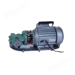WCB、S型微型齿轮油泵