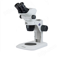 奥林巴斯体视显微镜SZ51/61