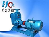 300ZX500-50 ZX高扬程清水泵