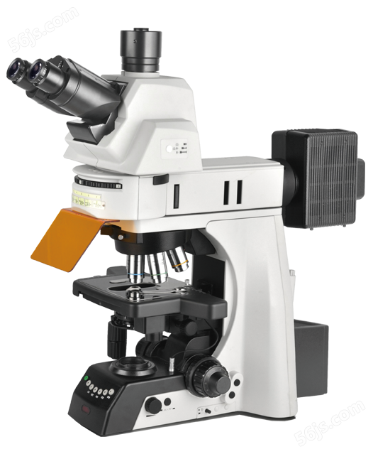 NE930-FL电动荧光显微镜