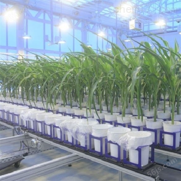 Conveyor植物表型成像系统