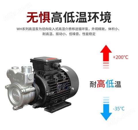 热油泵 热水泵 导热油泵 高低温循环泵 高温导热油泵