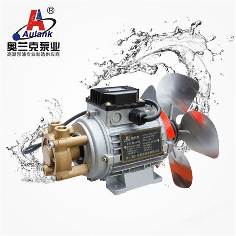 奥兰克WM-10S-120热水泵循环泵 高温热油旋涡泵 高温泵 立式高温泵