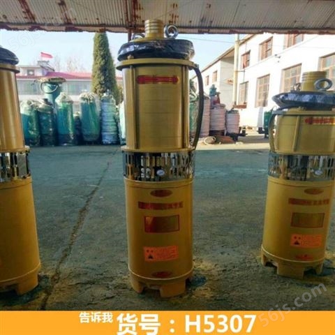 小潜水泵 拆潜水泵 高温潜水泵货号H5307