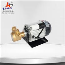 高壓葉片泵  高壓泵 葉片泵 高低溫泵 循環泵 等離子切割機反滲透用葉片泵
