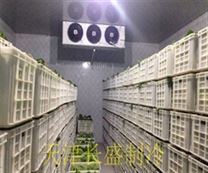 天津冷库安装 水果蔬菜保鲜库安装 冷库制冷设备 冷库生产厂家