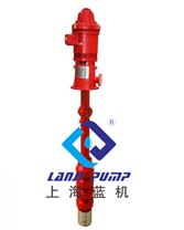 地埋箱泵一体化配套专用XBD-LJ消火栓轴流泵